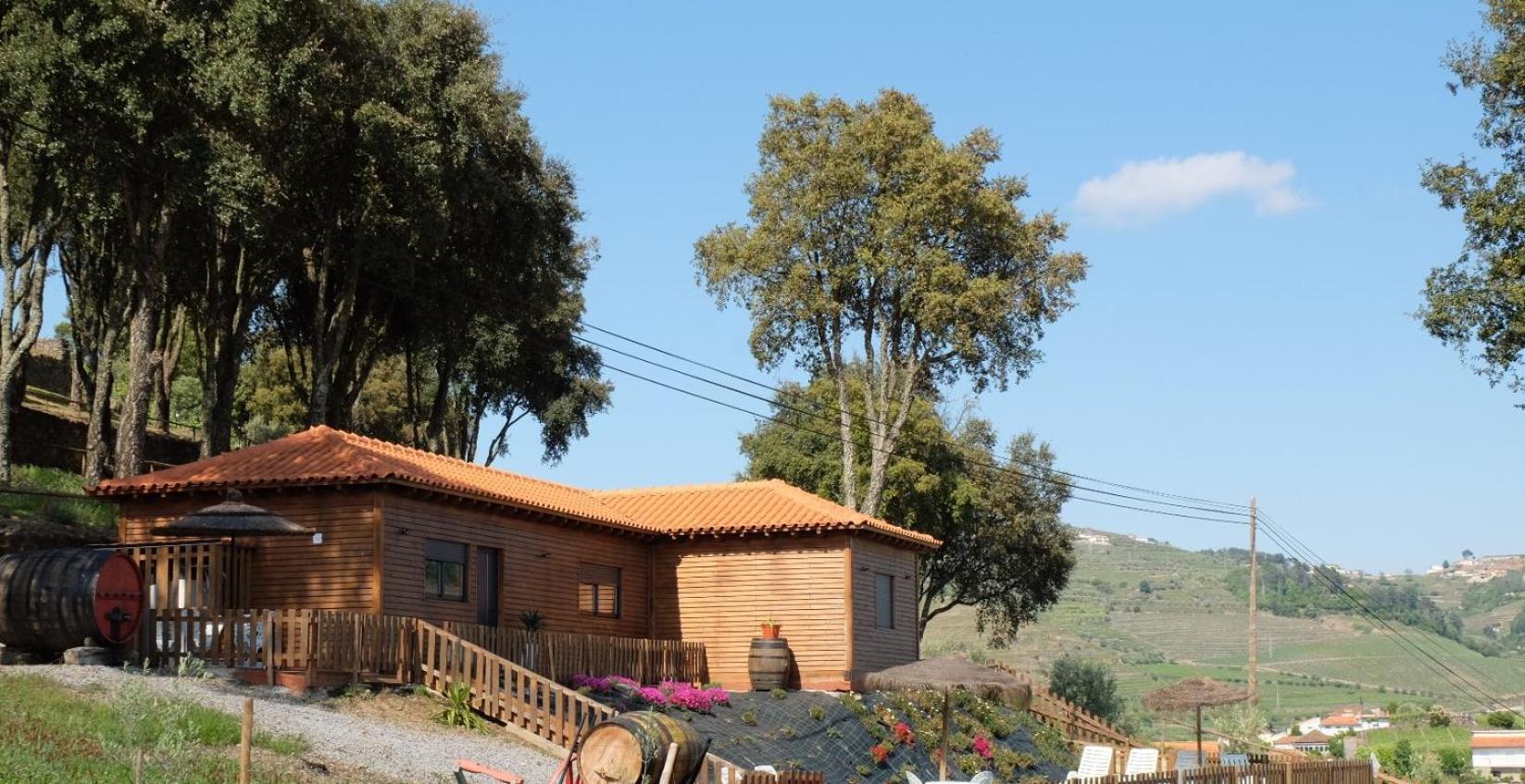 MartirQuinta Da Bandeira - Casa De Ferias No Douro别墅 外观 照片